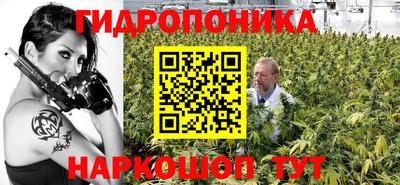 индика Можайск