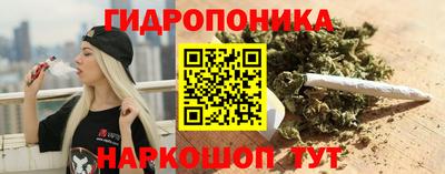 индика Можайск