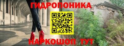 спиды Моздок