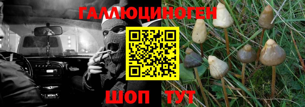 Галлюциногенные грибы мицелий Торжок