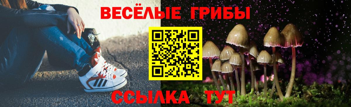 Псилоцибиновые грибы Psilocybine cubensis  Вход с VPN  Торжок 